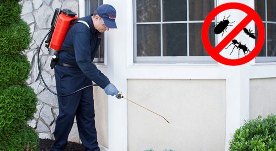 Terme Karınca İlaçlama böcek ilaçlama ve haşere kontrolü — ilaclama-tr.com